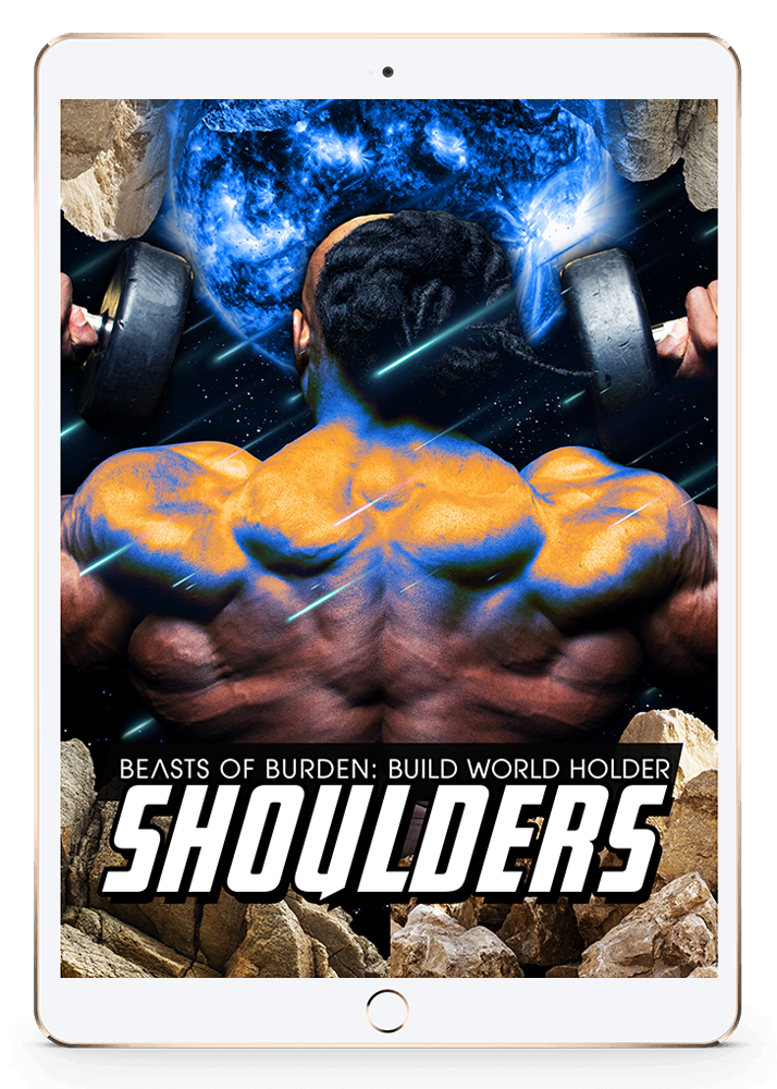 Build World Holder Shoulders