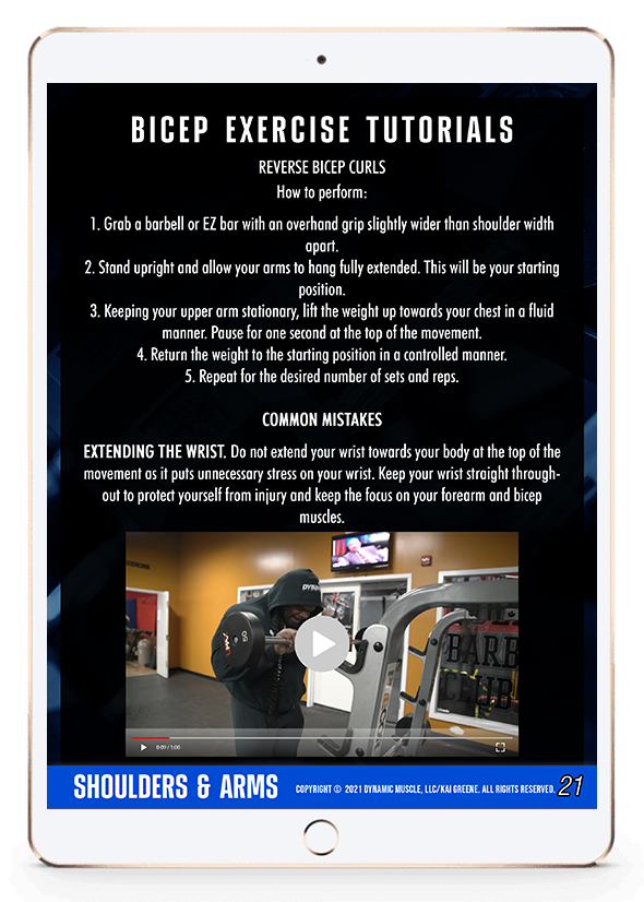 Shoulders & Arms - Video Guide